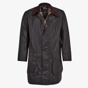 VESTE BORDER - SAGE